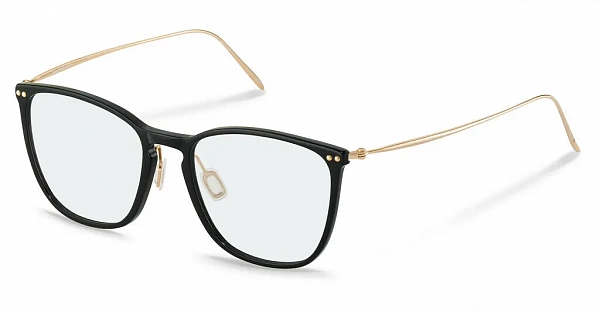 Оправа Rodenstock 7134 B