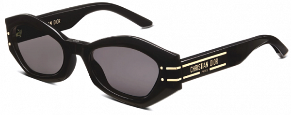 Солнцезащитные очки Dior DIORSIGNATURE B1U 10A0 Солнцезащитные очки Dior DIORSIGNATURE B1U 10A0