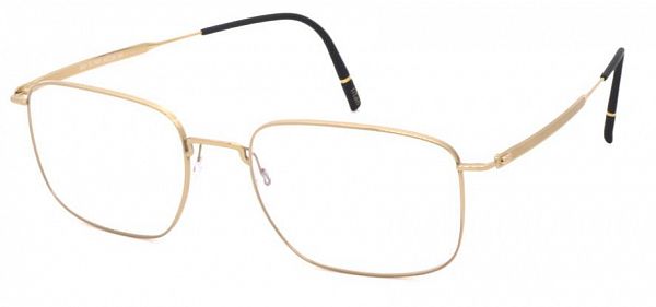Оправа Silhouette Pure Visionary 5591_75 7630